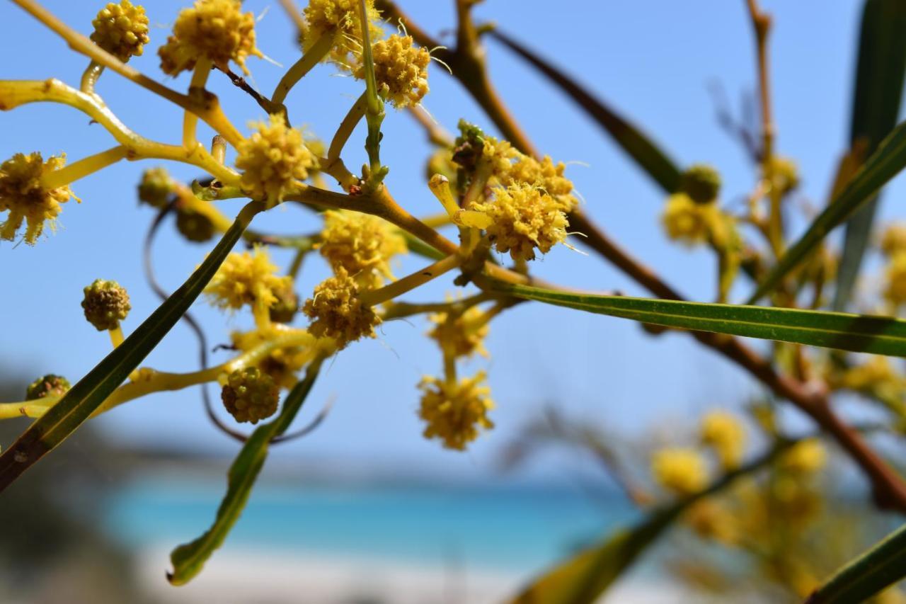 Eagle Bay House Bed and Breakfast Dunsborough Εξωτερικό φωτογραφία