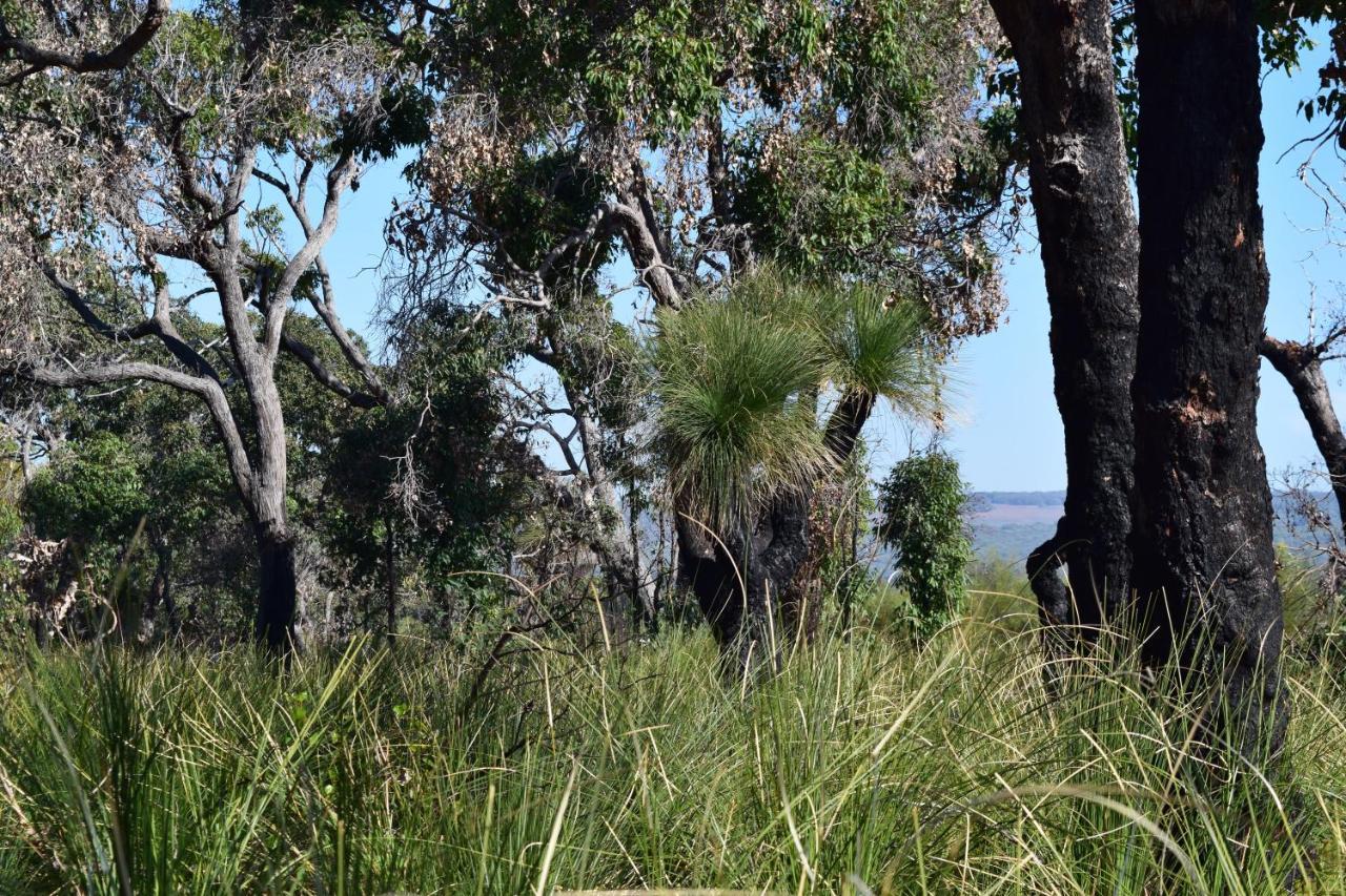 Eagle Bay House Bed and Breakfast Dunsborough Εξωτερικό φωτογραφία