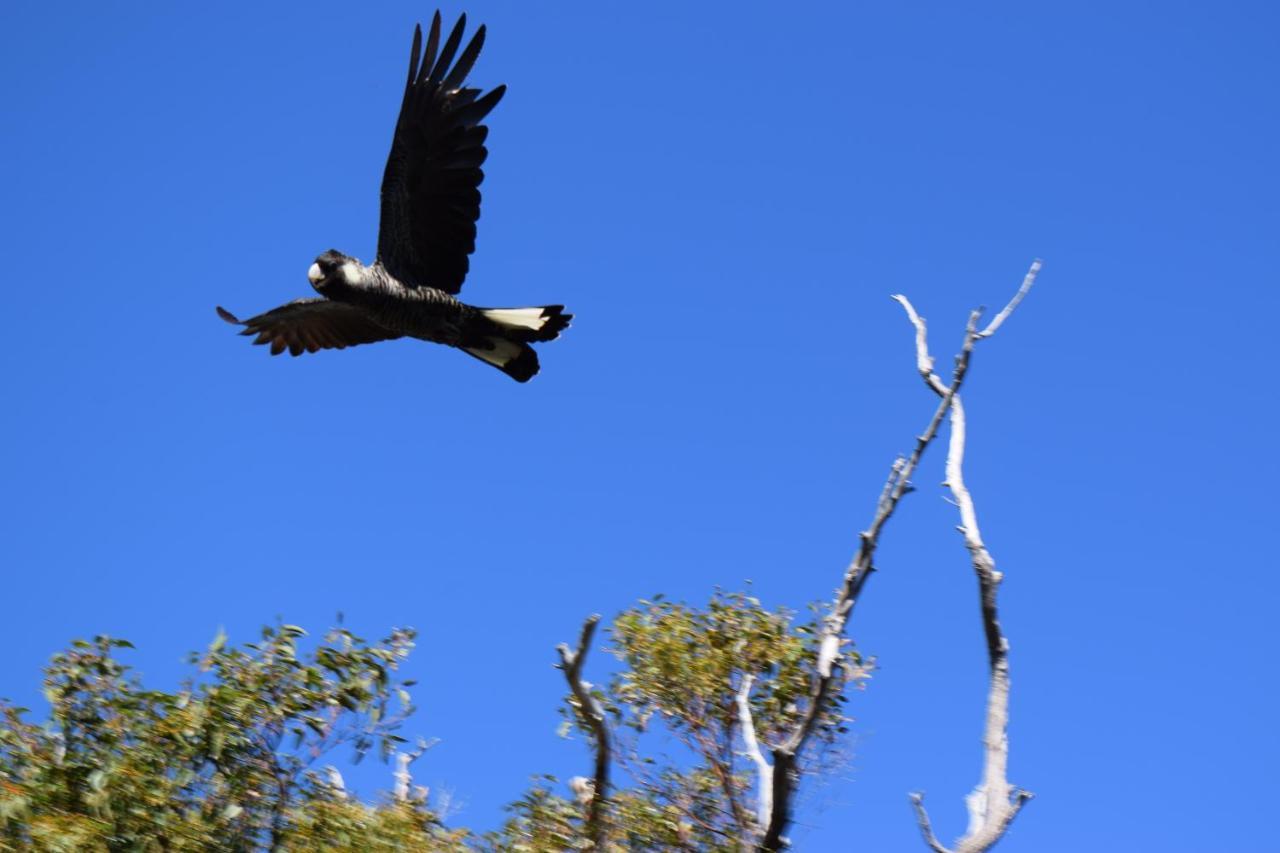 Eagle Bay House Bed and Breakfast Dunsborough Εξωτερικό φωτογραφία