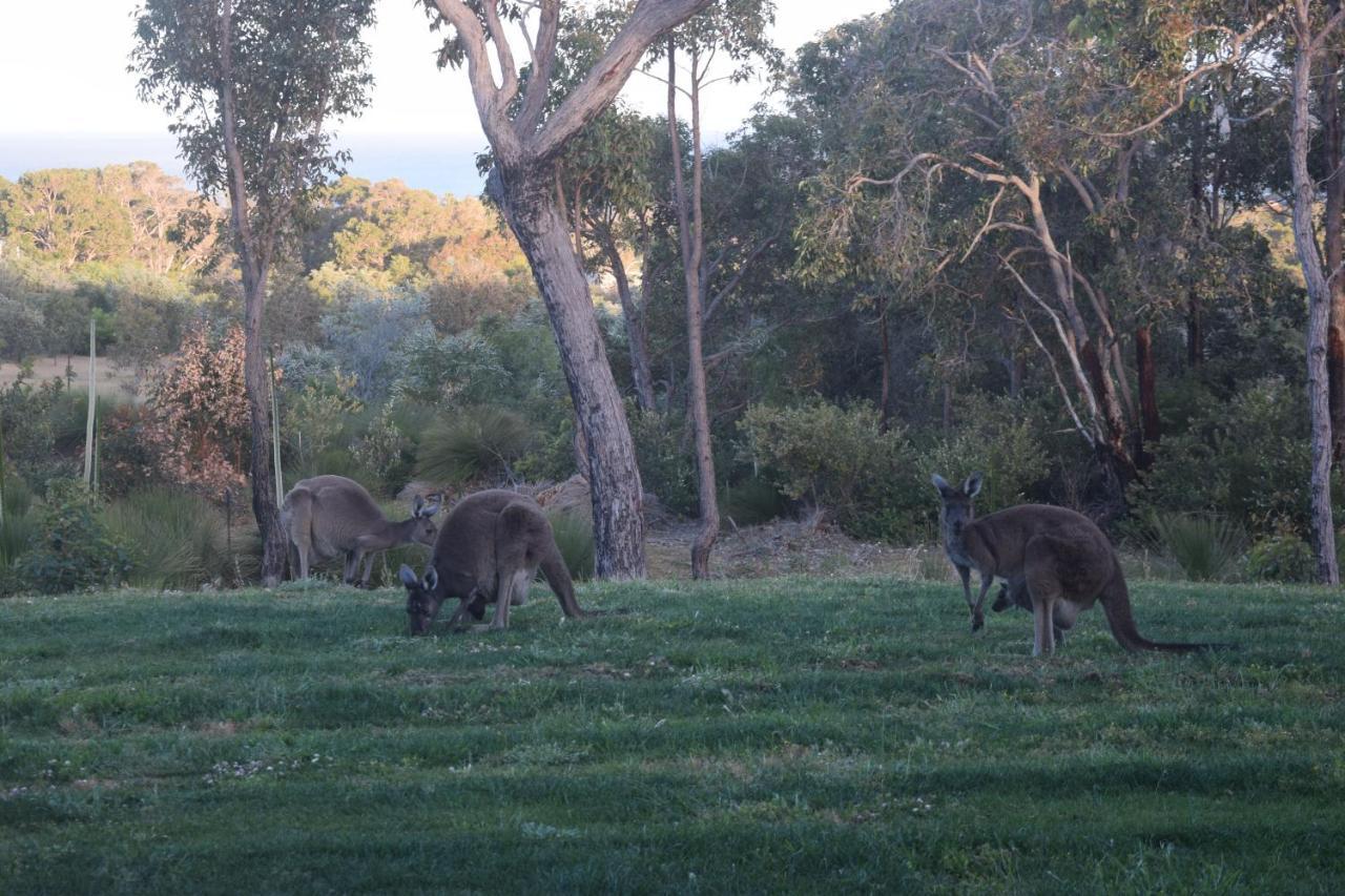 Eagle Bay House Bed and Breakfast Dunsborough Εξωτερικό φωτογραφία
